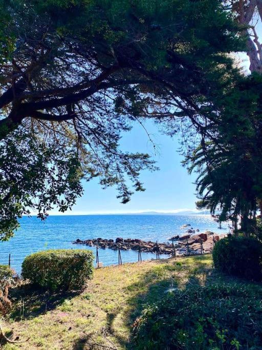 Studio Bord De Mer Boulouris A Saint Raphael Экстерьер фото